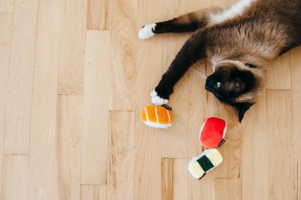 貓草玩具 - 食物系列