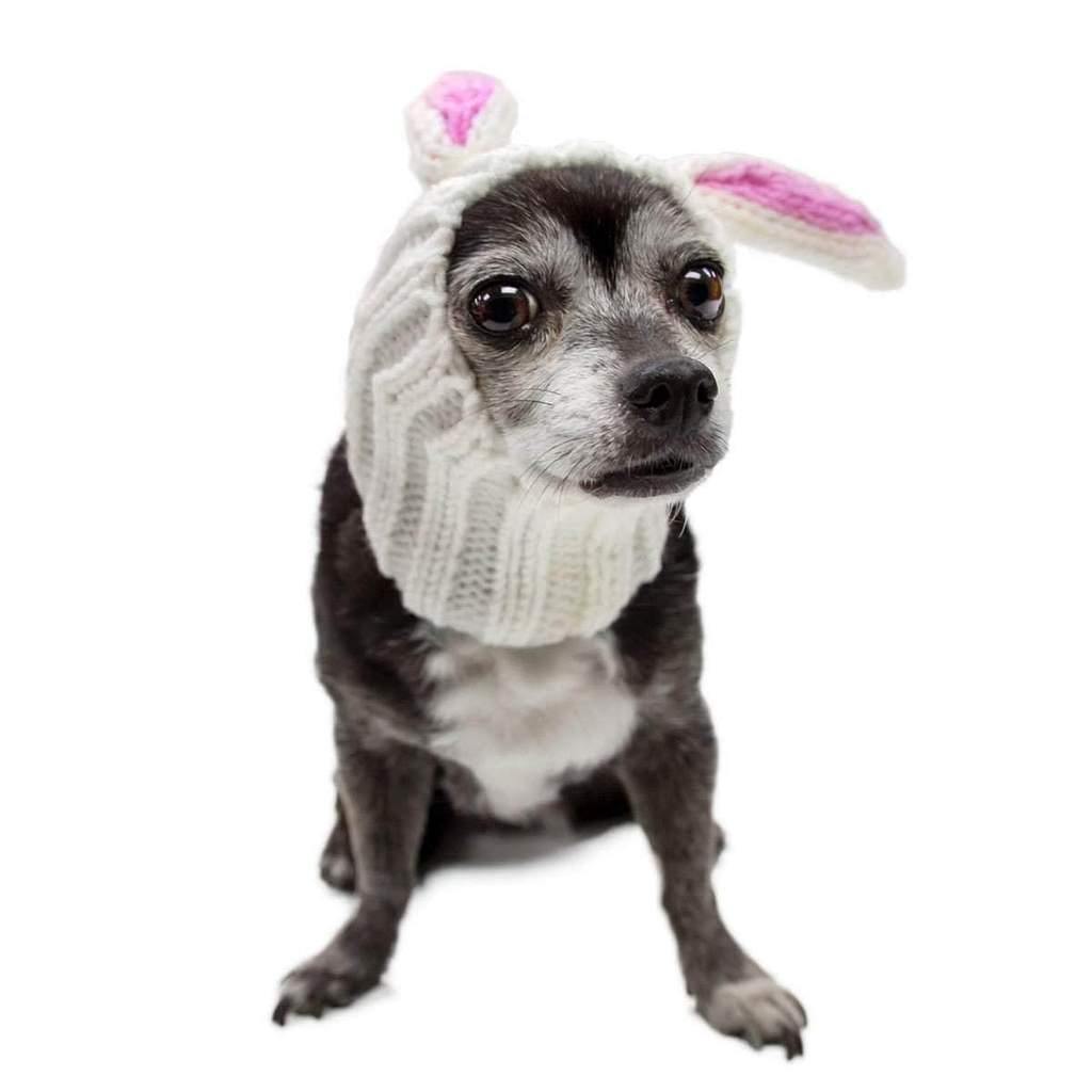BUNNY RABBIT ZOO SNOOD - Petisan