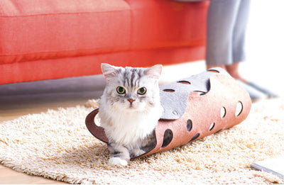 OPPO Fab Cat Tunnel