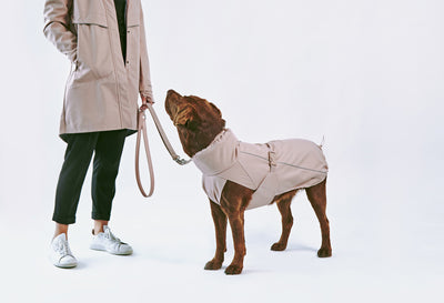 Sofia狗用冬季戶外大衣