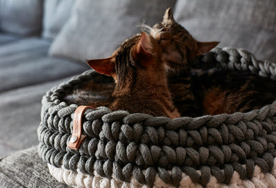 Nido貓巢 寵物睡床