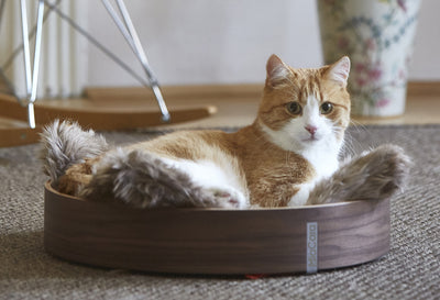 【PRE-ORDER】Anello Cat Basket