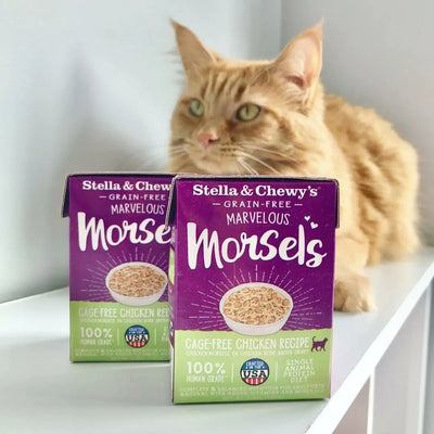 Cat Wet Food - Marvelous Morsels - Cage Free Chicken