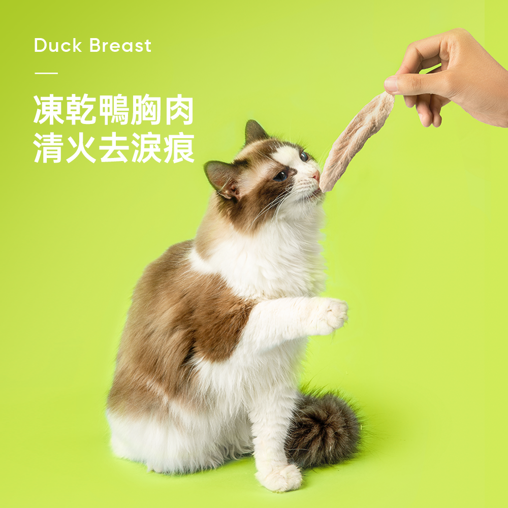 Freeze Dried Duck Breast