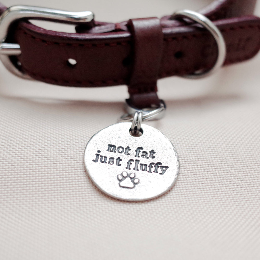 Pet ID Name Tag Petisan