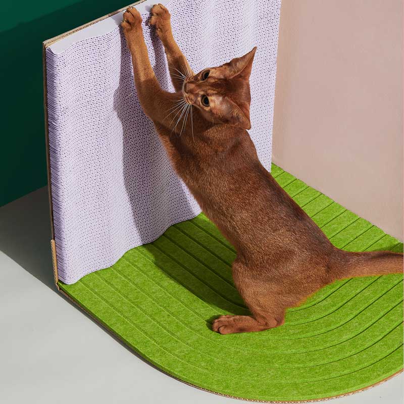 3-Dimensional Cat Scratcher