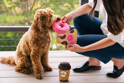 Dog Plush Toy - Pup Cup Café