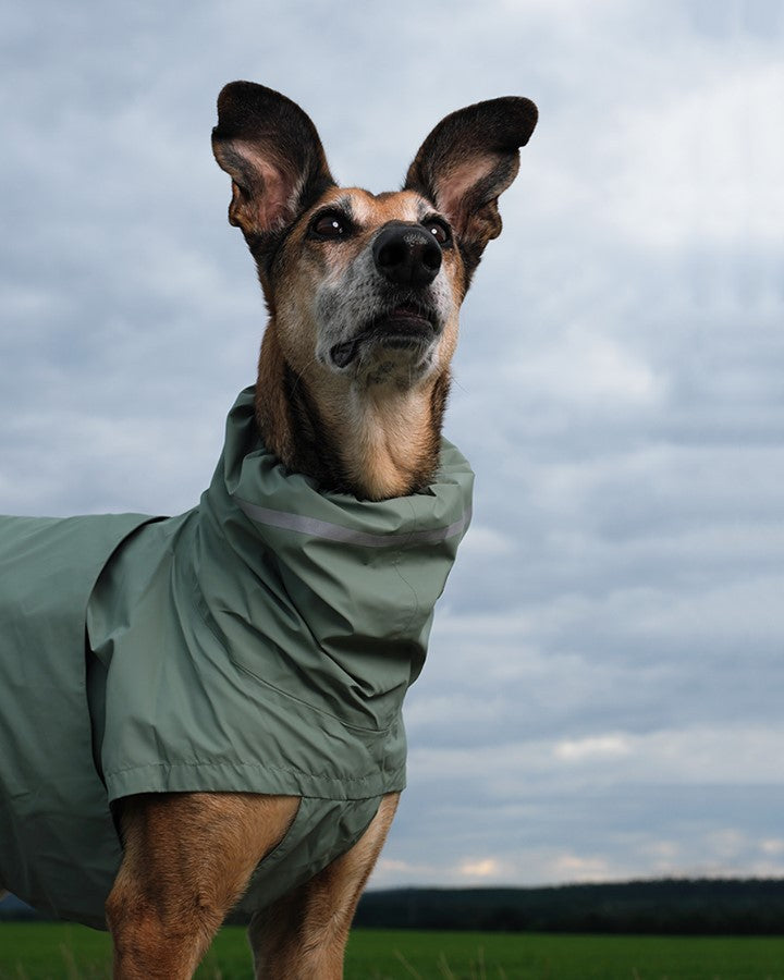 Dog Raincoat Hamburg