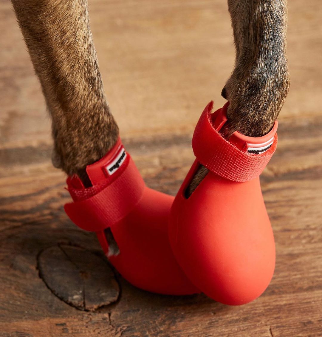 Wagwear booties hot sale