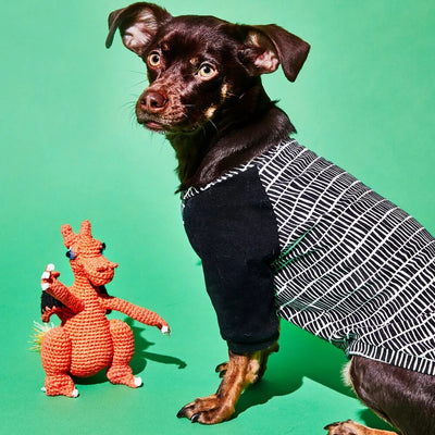 Dog Toy Hand Crochet Dragon