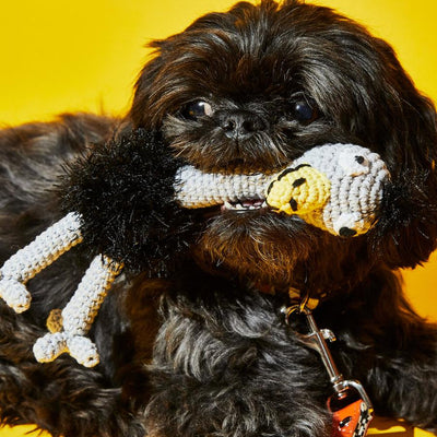 Dog Toy Hand Crochet Ostrich