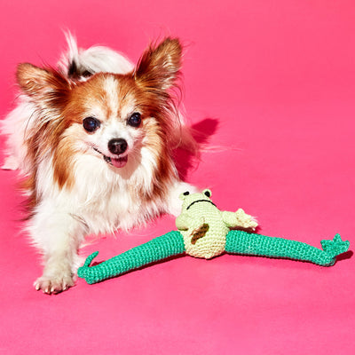 Dog Toy Hand Crochet Frog